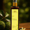 Citrus Air Freshener