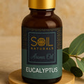 Aroma Oil – Eucalyptus